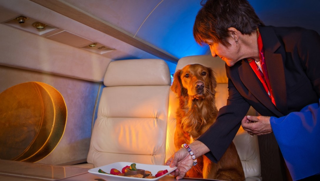 How to Fly With Pets on a Private Jet